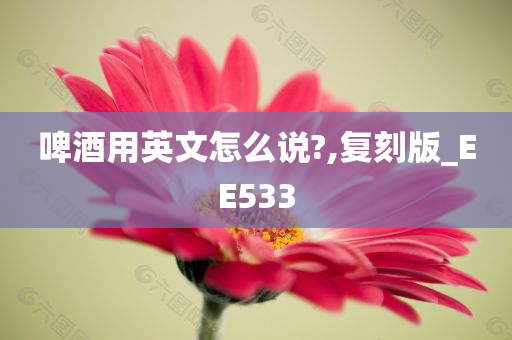 啤酒用英文怎么说?,复刻版_EE533