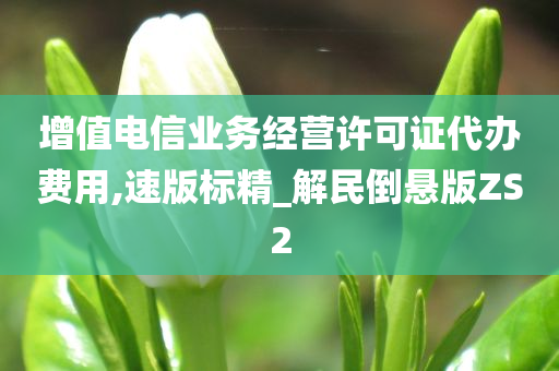 增值电信业务经营许可证代办费用,速版标精_解民倒悬版ZS2