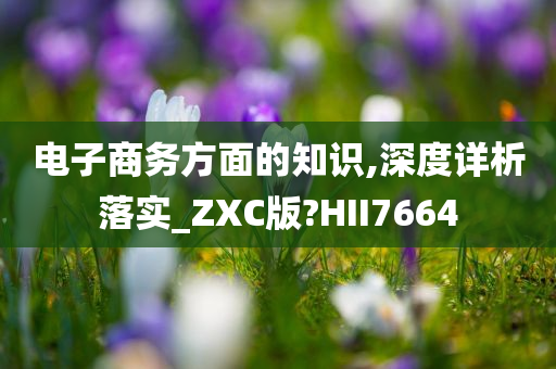 电子商务方面的知识,深度详析落实_ZXC版?HII7664