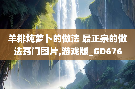 羊排炖萝卜的做法 最正宗的做法窍门图片,游戏版_GD676