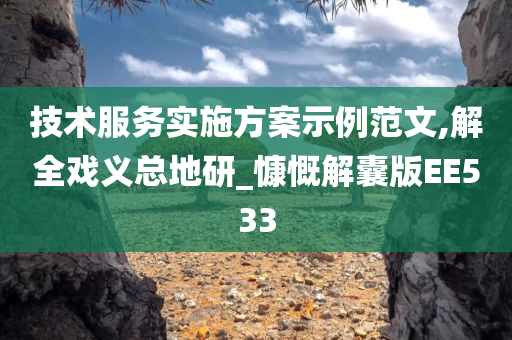 技术服务实施方案示例范文,解全戏义总地研_慷慨解囊版EE533