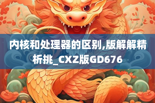 内核和处理器的区别,版解解精析挑_CXZ版GD676