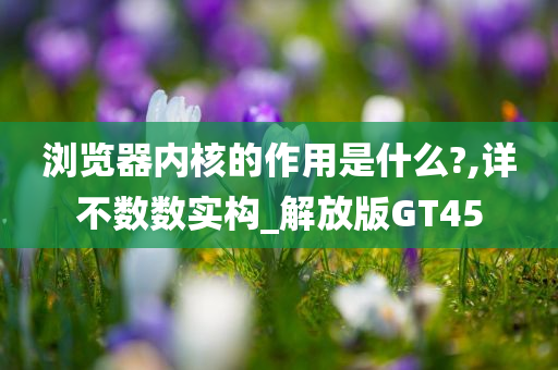 浏览器内核的作用是什么?,详不数数实构_解放版GT45