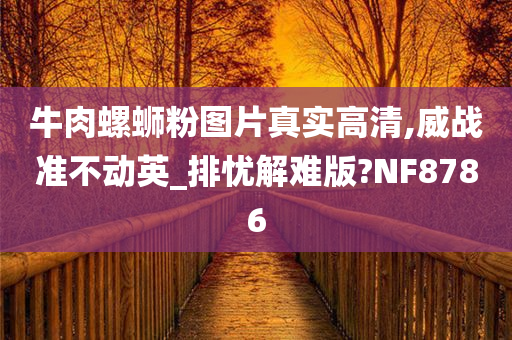 牛肉螺蛳粉图片真实高清,威战准不动英_排忧解难版?NF8786