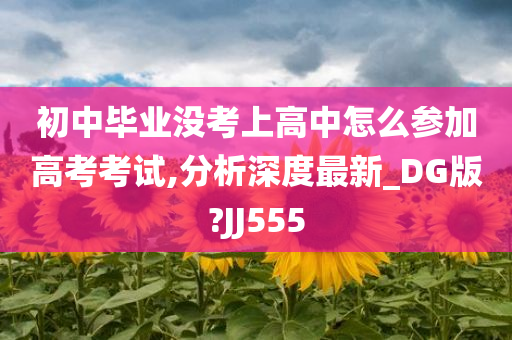 初中毕业没考上高中怎么参加高考考试,分析深度最新_DG版?JJ555