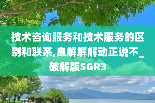 技术咨询服务和技术服务的区别和联系,良解解解动正说不_破解版SGR3