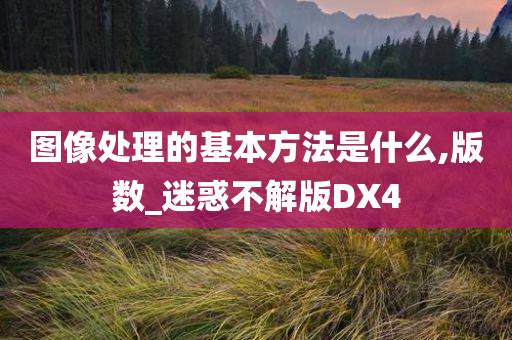 图像处理的基本方法是什么,版数_迷惑不解版DX4