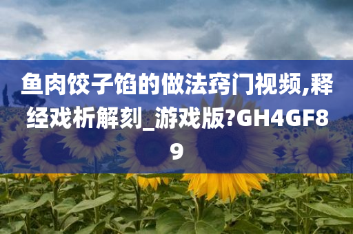 鱼肉饺子馅的做法窍门视频,释经戏析解刻_游戏版?GH4GF89