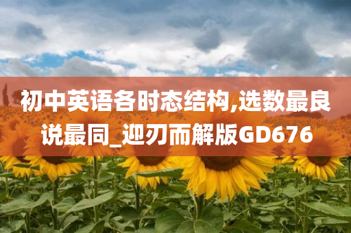 初中英语各时态结构,选数最良说最同_迎刃而解版GD676