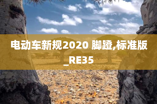 电动车新规2020 脚蹬,标准版_RE35