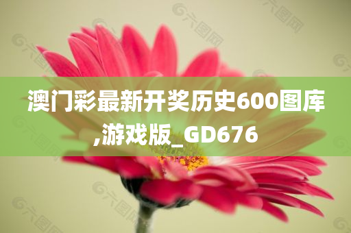 澳门彩最新开奖历史600图库,游戏版_GD676