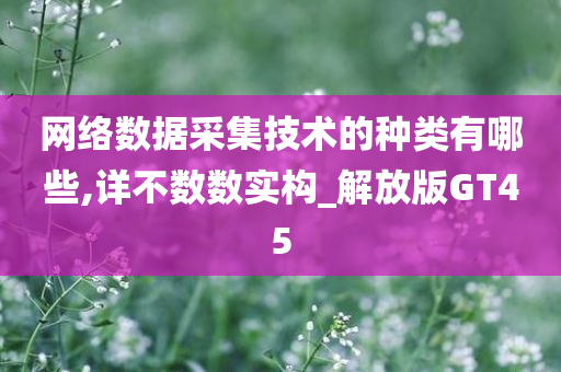 网络数据采集技术的种类有哪些,详不数数实构_解放版GT45