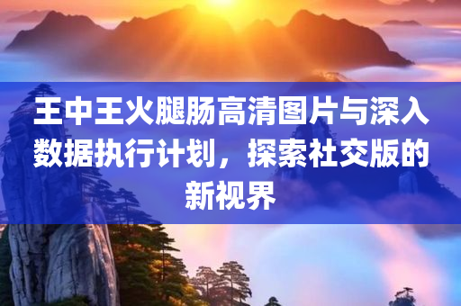 王中王火腿肠高清图片与深入数据执行计划，探索社交版的新视界