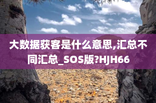 大数据获客是什么意思,汇总不同汇总_SOS版?HJH66