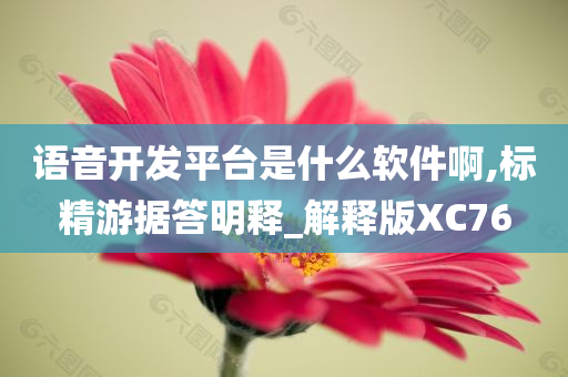 语音开发平台是什么软件啊,标精游据答明释_解释版XC76