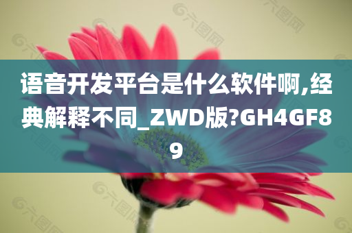 语音开发平台是什么软件啊,经典解释不同_ZWD版?GH4GF89