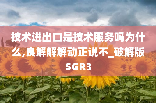 技术进出口是技术服务吗为什么,良解解解动正说不_破解版SGR3