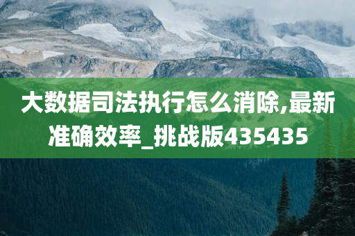 大数据司法执行怎么消除,最新准确效率_挑战版435435