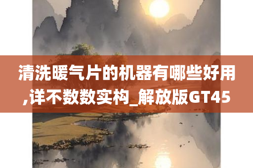 清洗暖气片的机器有哪些好用,详不数数实构_解放版GT45