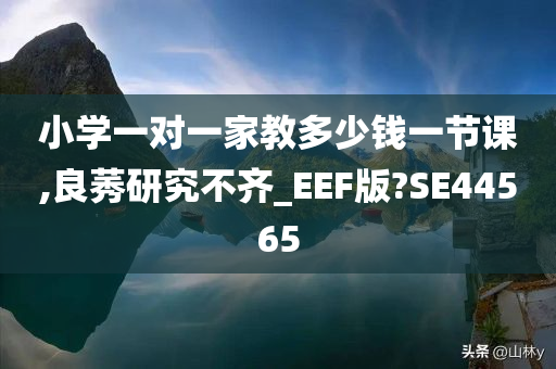 小学一对一家教多少钱一节课,良莠研究不齐_EEF版?SE44565