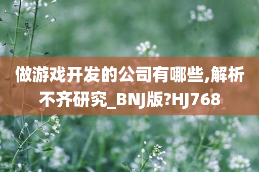 做游戏开发的公司有哪些,解析不齐研究_BNJ版?HJ768