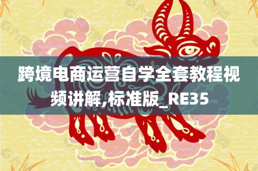 跨境电商运营自学全套教程视频讲解,标准版_RE35