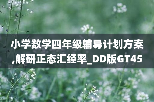 小学数学四年级辅导计划方案,解研正态汇经率_DD版GT45