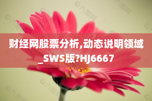 财经网股票分析,动态说明领域_SWS版?HJ6667