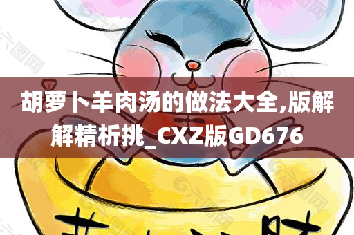 胡萝卜羊肉汤的做法大全,版解解精析挑_CXZ版GD676