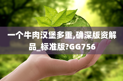 一个牛肉汉堡多重,确深版资解品_标准版?GG756