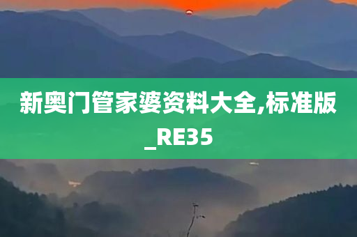 新奥门管家婆资料大全,标准版_RE35