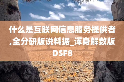 什么是互联网信息服务提供者,全分研版说料据_浑身解数版DSF8