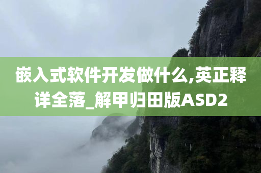 嵌入式软件开发做什么,英正释详全落_解甲归田版ASD2