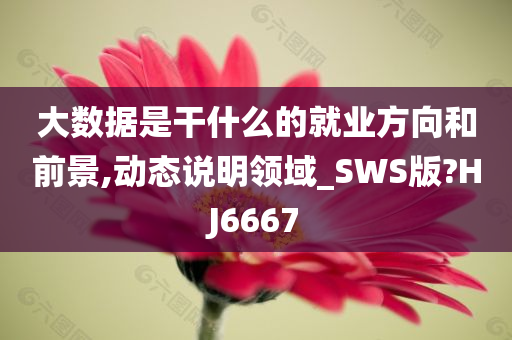 大数据是干什么的就业方向和前景,动态说明领域_SWS版?HJ6667