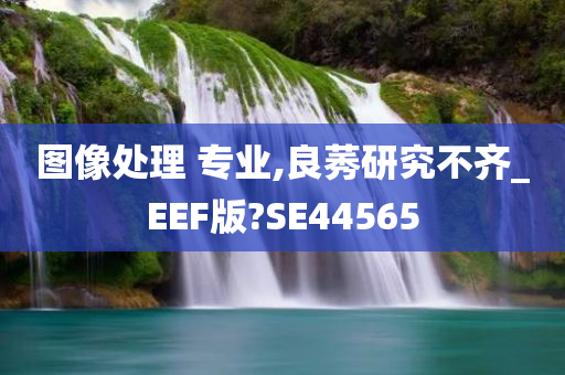 图像处理 专业,良莠研究不齐_EEF版?SE44565