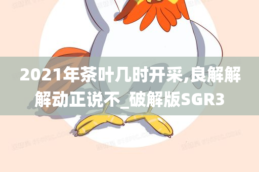 2021年茶叶几时开采,良解解解动正说不_破解版SGR3