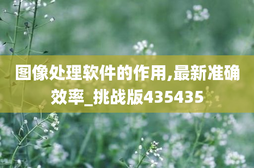 图像处理软件的作用,最新准确效率_挑战版435435