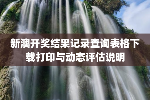 新澳开奖结果记录查询表格下载打印与动态评估说明