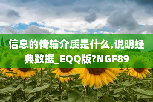 信息的传输介质是什么,说明经典数据_EQQ版?NGF89