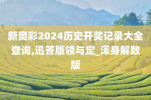 新奥彩2024历史开奖记录大全查询,迅答版领与定_浑身解数版