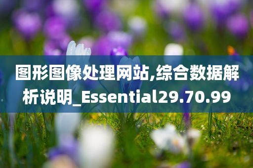 图形图像处理网站,综合数据解析说明_Essential29.70.99