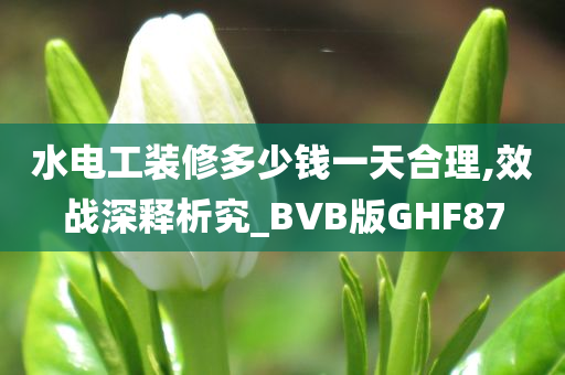 水电工装修多少钱一天合理,效战深释析究_BVB版GHF87