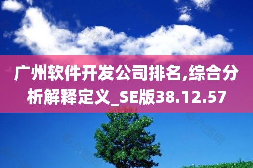 广州软件开发公司排名,综合分析解释定义_SE版38.12.57