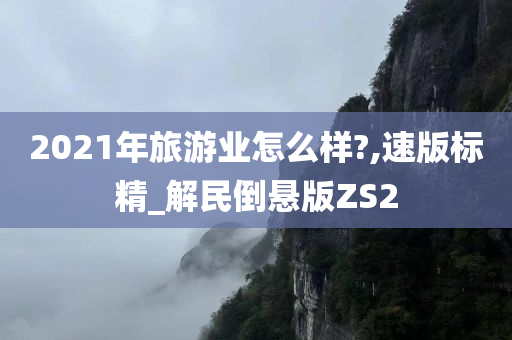 2021年旅游业怎么样?,速版标精_解民倒悬版ZS2