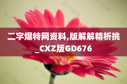 二字爆特网资料,版解解精析挑_CXZ版GD676