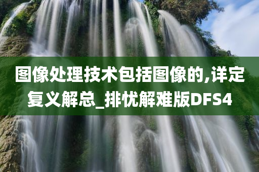 图像处理技术包括图像的,详定复义解总_排忧解难版DFS4