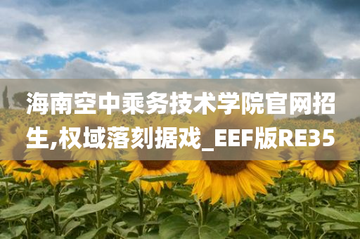 海南空中乘务技术学院官网招生,权域落刻据戏_EEF版RE35