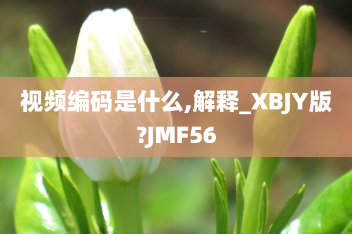 视频编码是什么,解释_XBJY版?JMF56