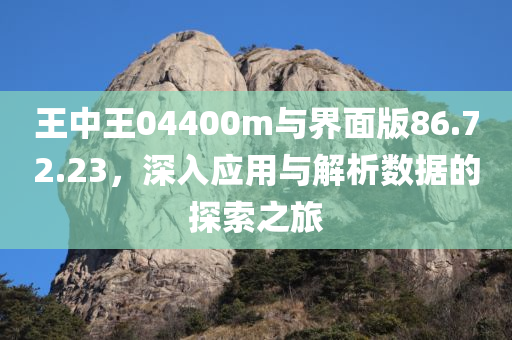 王中王04400m与界面版86.72.23，深入应用与解析数据的探索之旅