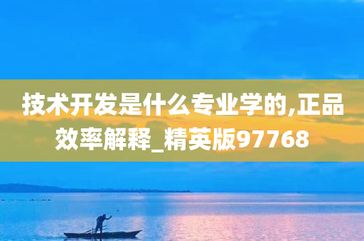 技术开发是什么专业学的,正品效率解释_精英版97768